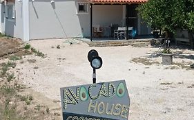 Avocado House